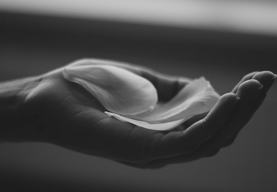pregnancy loss, pregnancy loss therapy, infertility counseling, infertility counseling, miscarriage therapy
